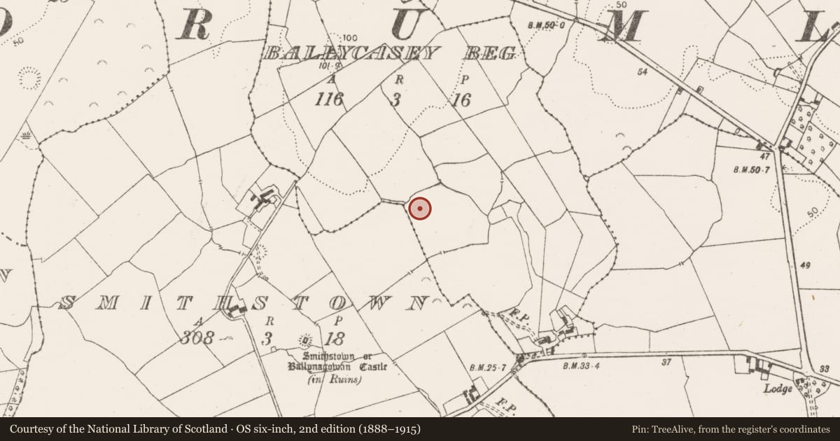 Ordnance Survey six-inch map, 2nd edition (1888–1915) covering the location of Standing stone, Ballycasey Beg, County Clare, with a pin at the register's coordinates