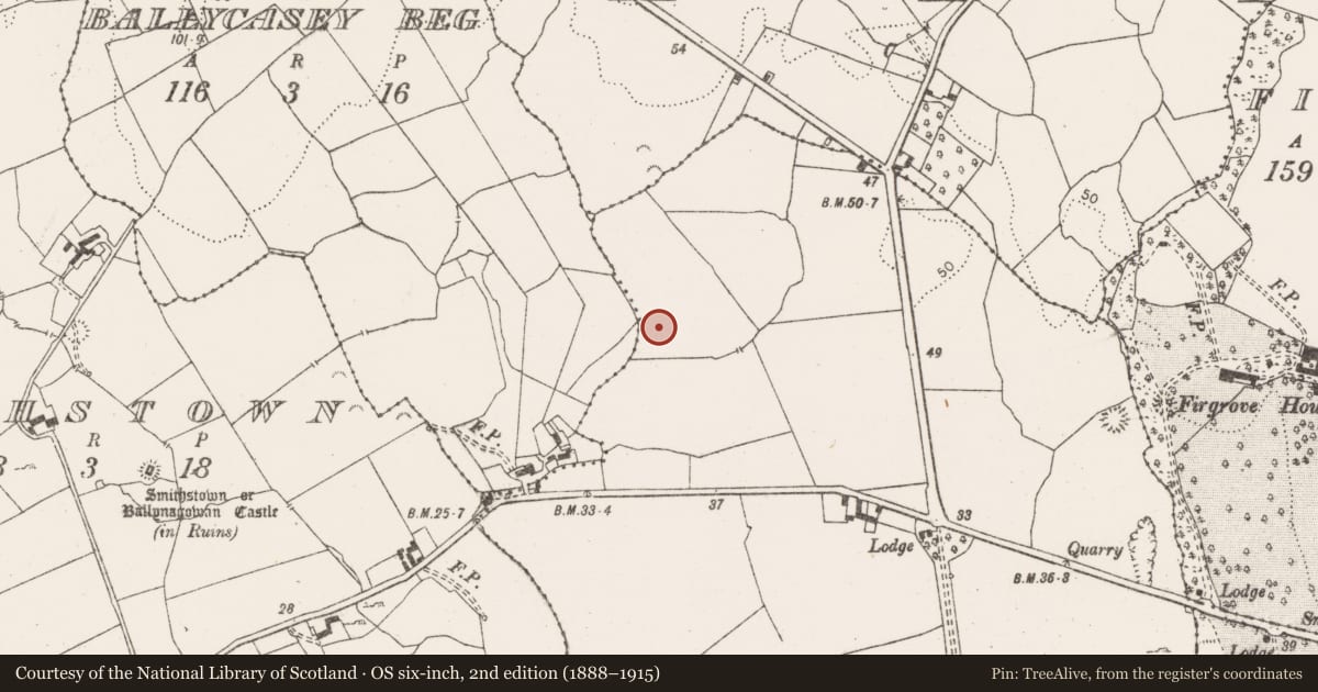 Ordnance Survey six-inch map, 2nd edition (1888–1915) covering the location of Standing stone, Ballycasey More, County Clare, with a pin at the register's coordinates