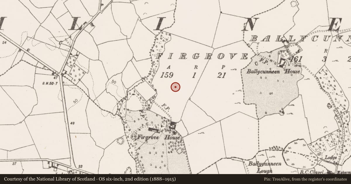 Ordnance Survey six-inch map, 2nd edition (1888–1915) covering the location of Enclosure, Firgrove, County Clare, with a pin at the register's coordinates