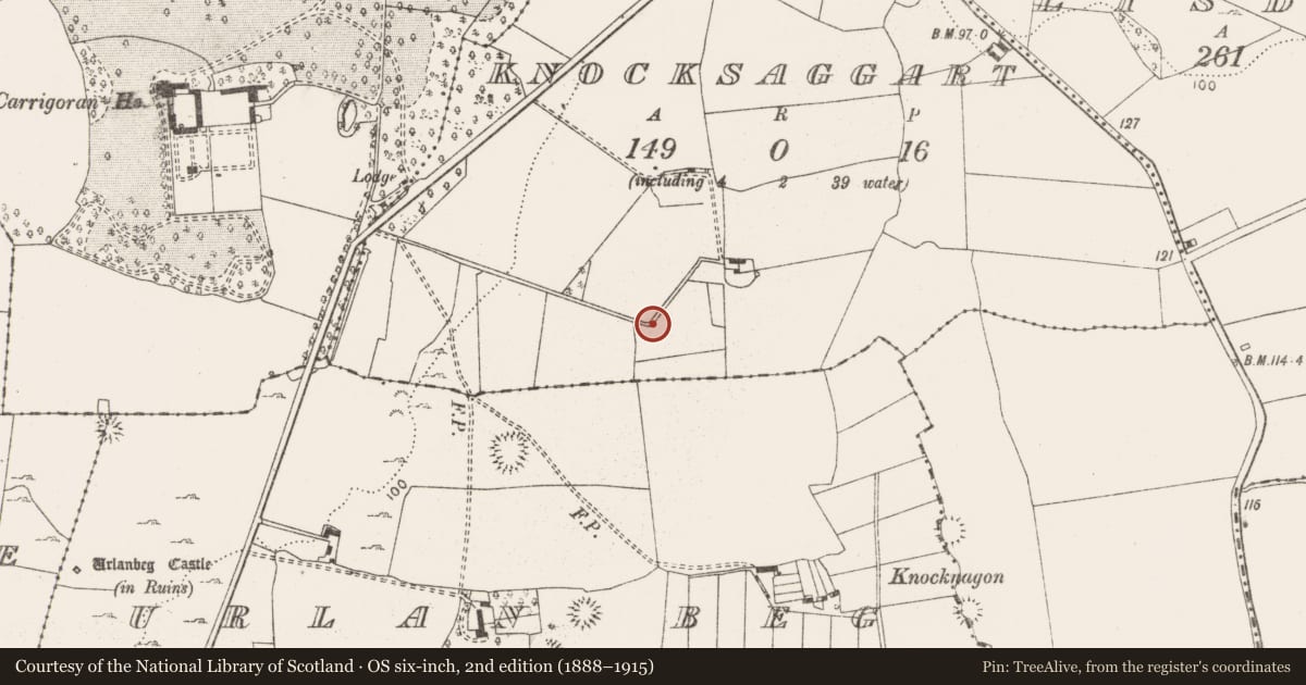 Ordnance Survey six-inch map, 2nd edition (1888–1915) covering the location of Enclosure, Knocksaggart, County Clare, with a pin at the register's coordinates