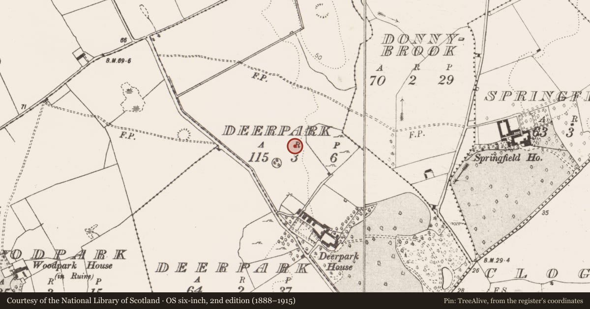 Ordnance Survey six-inch map, 2nd edition (1888–1915) covering the location of Standing stone, Deerpark, County Clare, with a pin at the register's coordinates