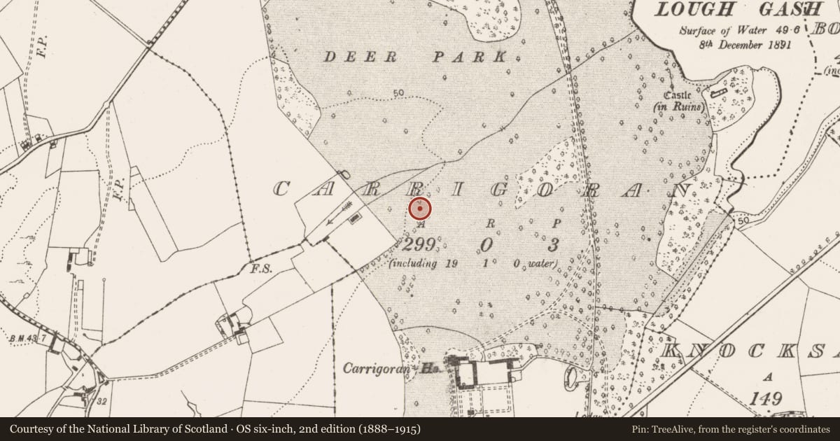 Ordnance Survey six-inch map, 2nd edition (1888–1915) covering the location of Enclosure, Carrigoran, County Clare, with a pin at the register's coordinates