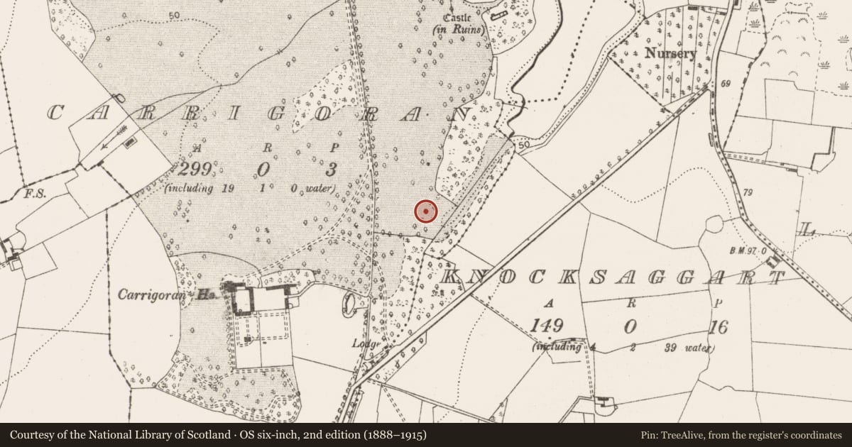 Ordnance Survey six-inch map, 2nd edition (1888–1915) covering the location of Burial, Carrigoran, County Clare, with a pin at the register's coordinates