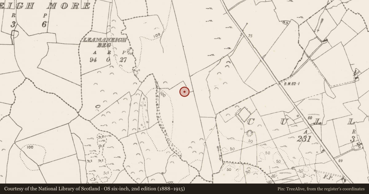 Ordnance Survey six-inch map, 2nd edition (1888–1915) covering the location of Ringfort - rath, Killulla, County Clare, with a pin at the register's coordinates