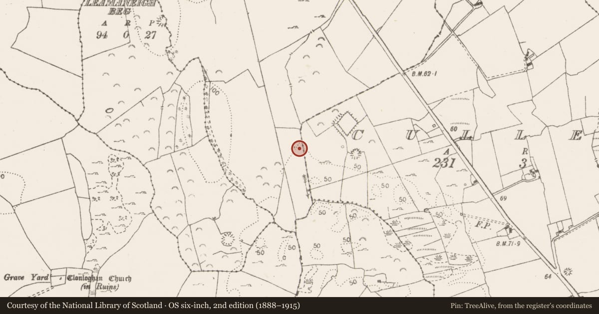 Ordnance Survey six-inch map, 2nd edition (1888–1915) covering the location of Fulacht fia, Killulla, County Clare, with a pin at the register's coordinates