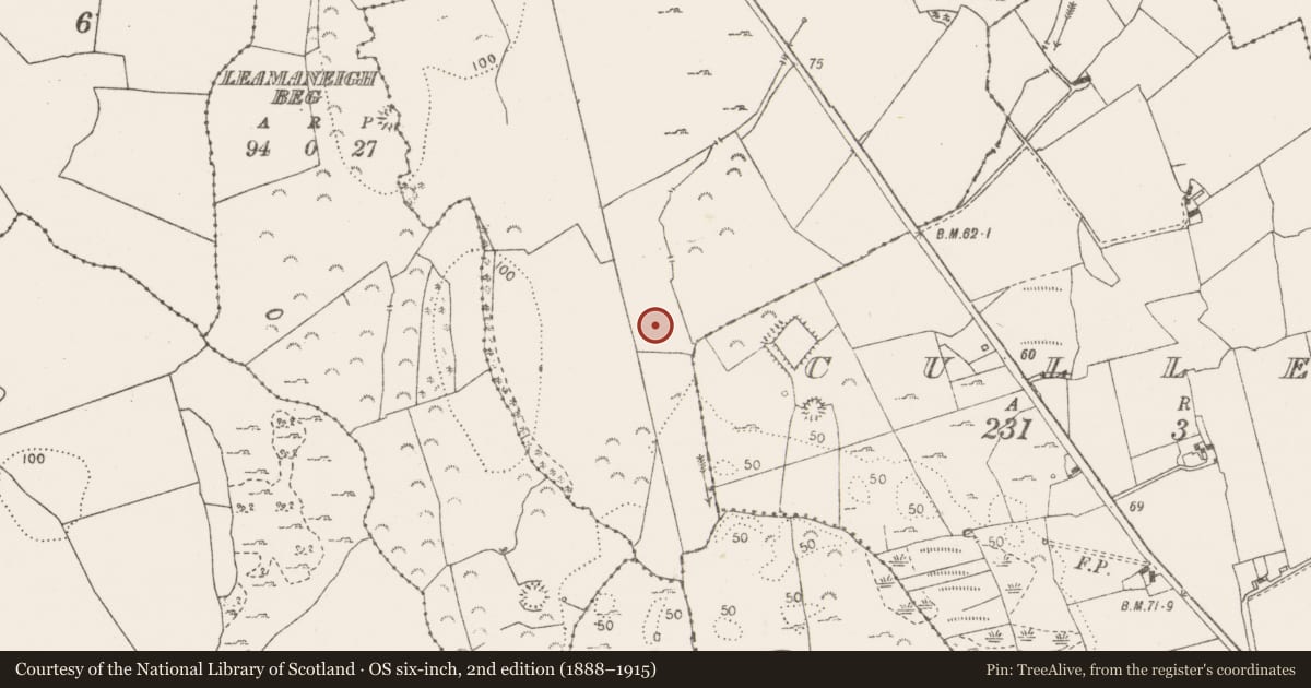 Ordnance Survey six-inch map, 2nd edition (1888–1915) covering the location of Burnt mound, Killulla, County Clare, with a pin at the register's coordinates