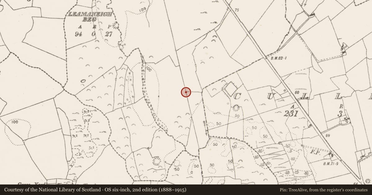 Ordnance Survey six-inch map, 2nd edition (1888–1915) covering the location of Fulacht fia, Killulla, County Clare, with a pin at the register's coordinates