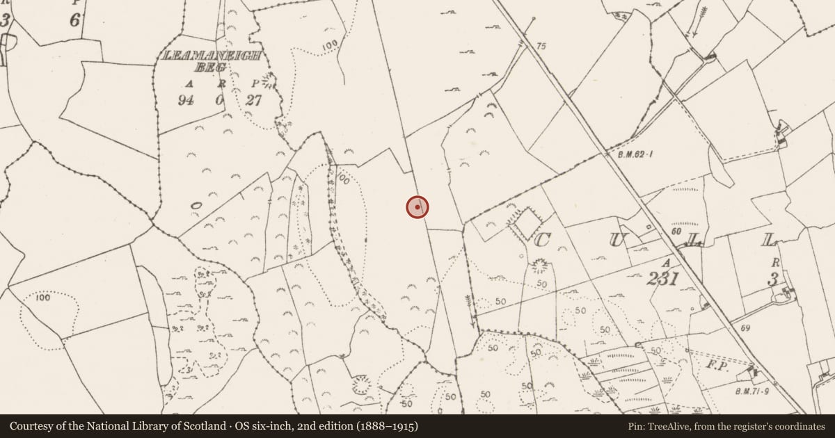 Ordnance Survey six-inch map, 2nd edition (1888–1915) covering the location of Fulacht fia, Killulla, County Clare, with a pin at the register's coordinates