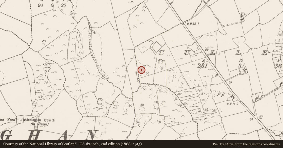 Ordnance Survey six-inch map, 2nd edition (1888–1915) covering the location of Excavation - miscellaneous, Culleen, County Clare, with a pin at the register's coordinates