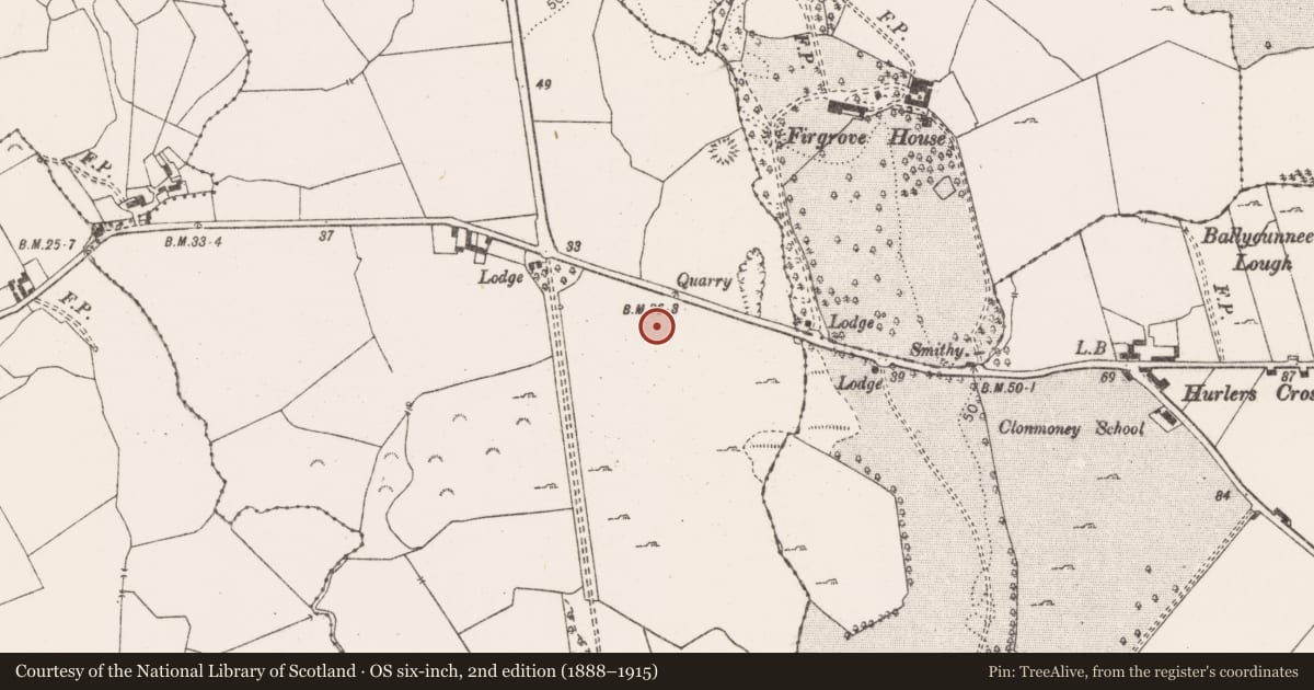 Ordnance Survey six-inch map, 2nd edition (1888–1915) covering the location of Road - road/trackway, Ballycasey More, County Clare, with a pin at the register's coordinates