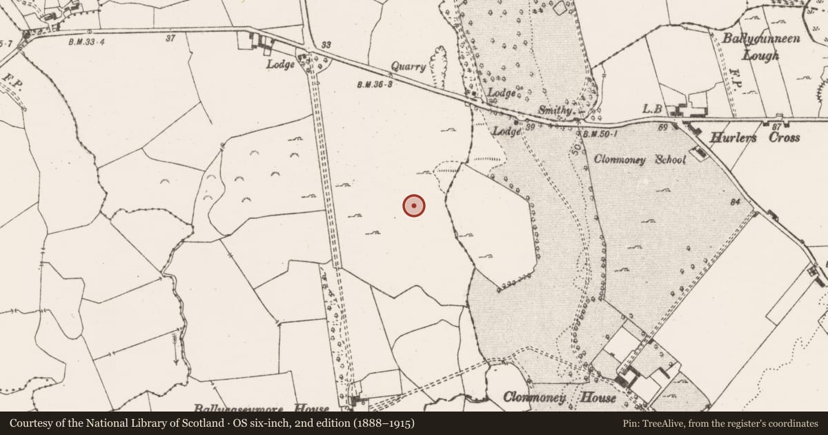 Ordnance Survey six-inch map, 2nd edition (1888–1915) covering the location of Road - road/trackway, Ballycasey More, County Clare, with a pin at the register's coordinates
