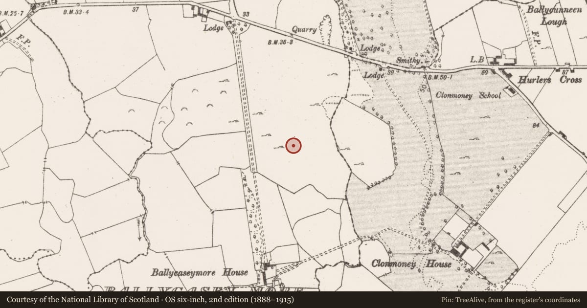 Ordnance Survey six-inch map, 2nd edition (1888–1915) covering the location of Excavation - miscellaneous, Ballycasey More, County Clare, with a pin at the register's coordinates