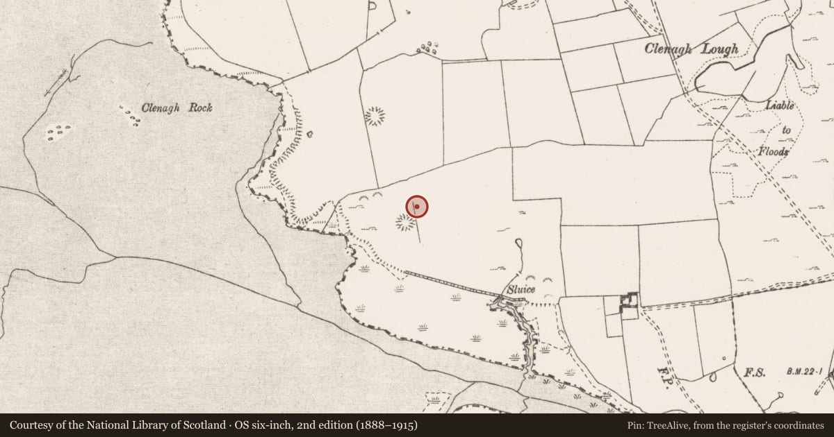 Ordnance Survey six-inch map, 2nd edition (1888–1915) covering the location of Enclosure, Clenagh, County Clare, with a pin at the register's coordinates