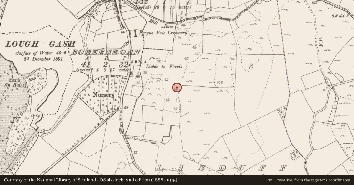 Ordnance Survey six-inch map, 2nd edition (1888–1915) covering the location of Fulacht fia, Lisduff, County Clare, with a pin at the register's coordinates