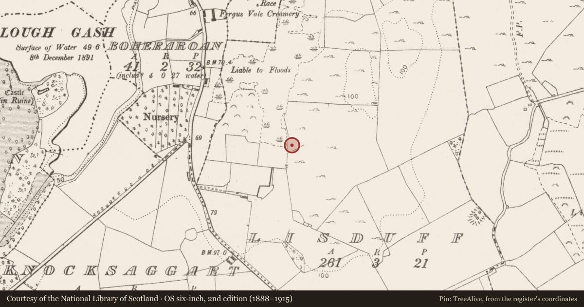 Ordnance Survey six-inch map, 2nd edition (1888–1915) covering the location of Fulacht fia, Lisduff, County Clare, with a pin at the register's coordinates