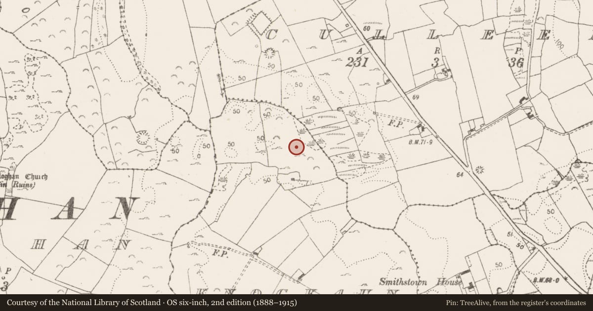 Ordnance Survey six-inch map, 2nd edition (1888–1915) covering the location of Fulacht fia, Knockaun, County Clare, with a pin at the register's coordinates