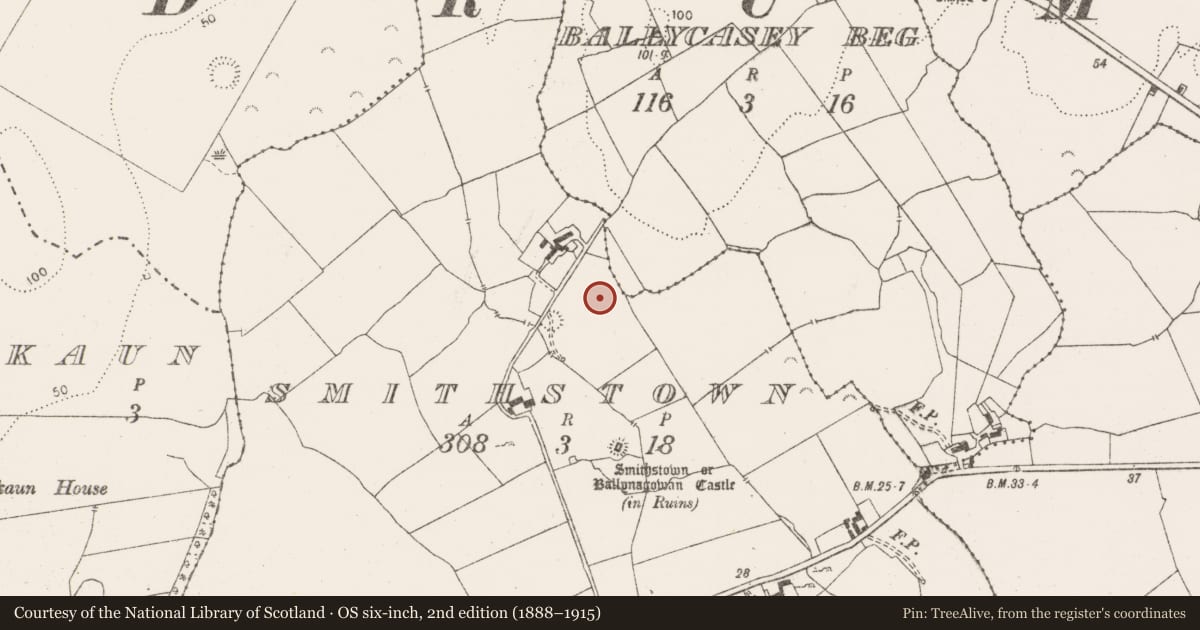 Ordnance Survey six-inch map, 2nd edition (1888–1915) covering the location of Fulacht fia, Smithstown, County Clare, with a pin at the register's coordinates