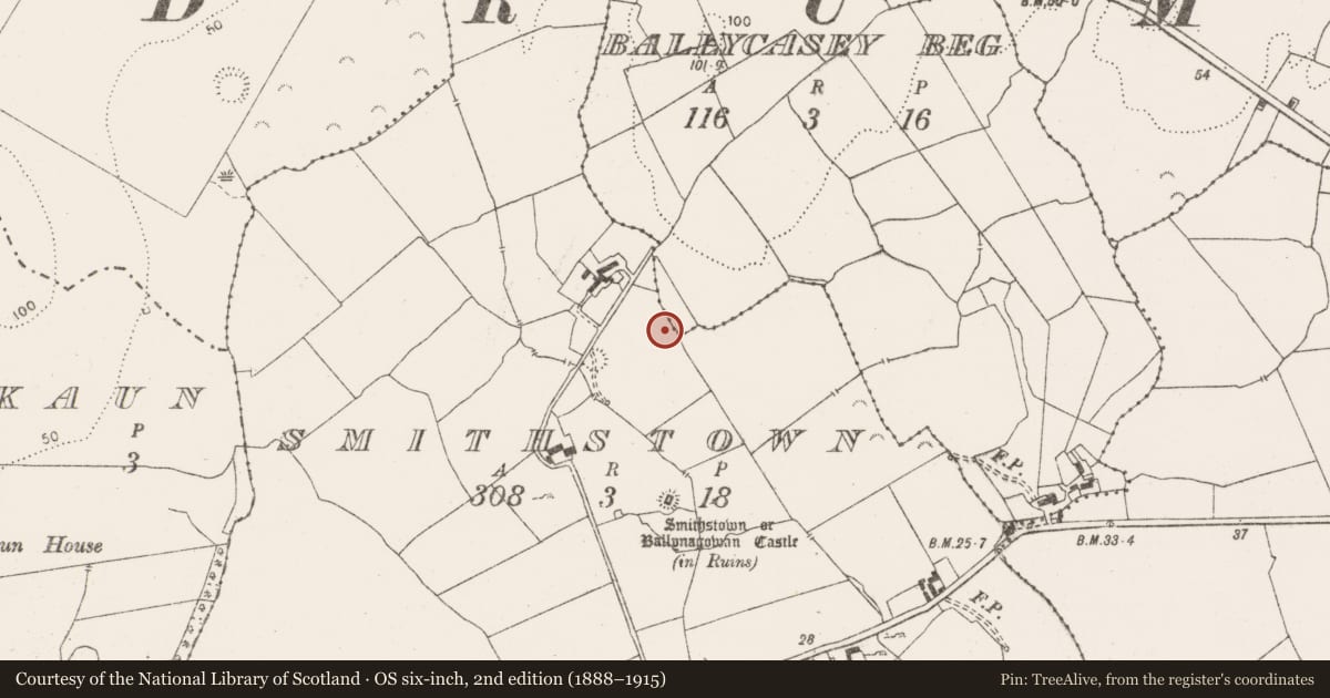 Ordnance Survey six-inch map, 2nd edition (1888–1915) covering the location of Fulacht fia, Smithstown, County Clare, with a pin at the register's coordinates