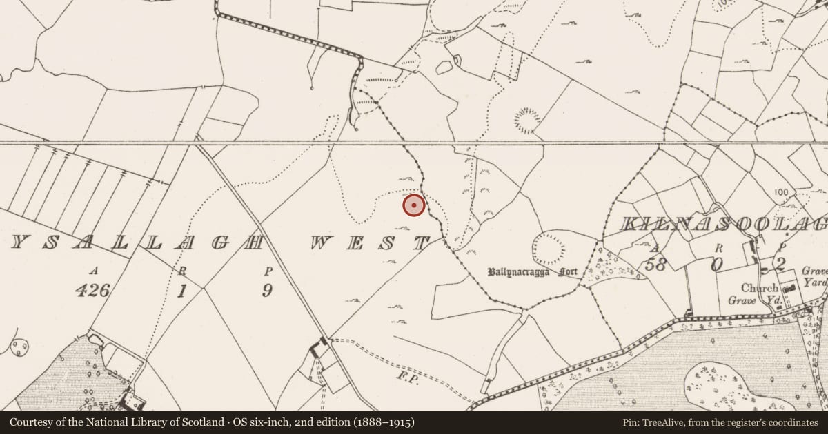 Ordnance Survey six-inch map, 2nd edition (1888–1915) covering the location of Enclosure, Ballysallagh West, County Clare, with a pin at the register's coordinates