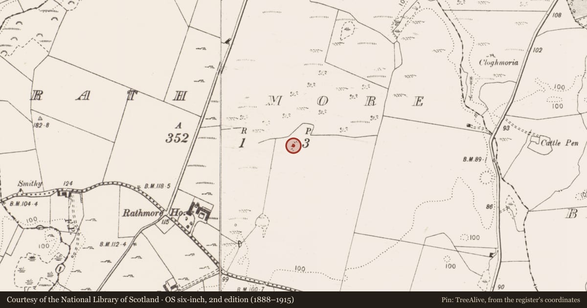 Ordnance Survey six-inch map, 2nd edition (1888–1915) covering the location of Enclosure, Rath More, County Clare, with a pin at the register's coordinates