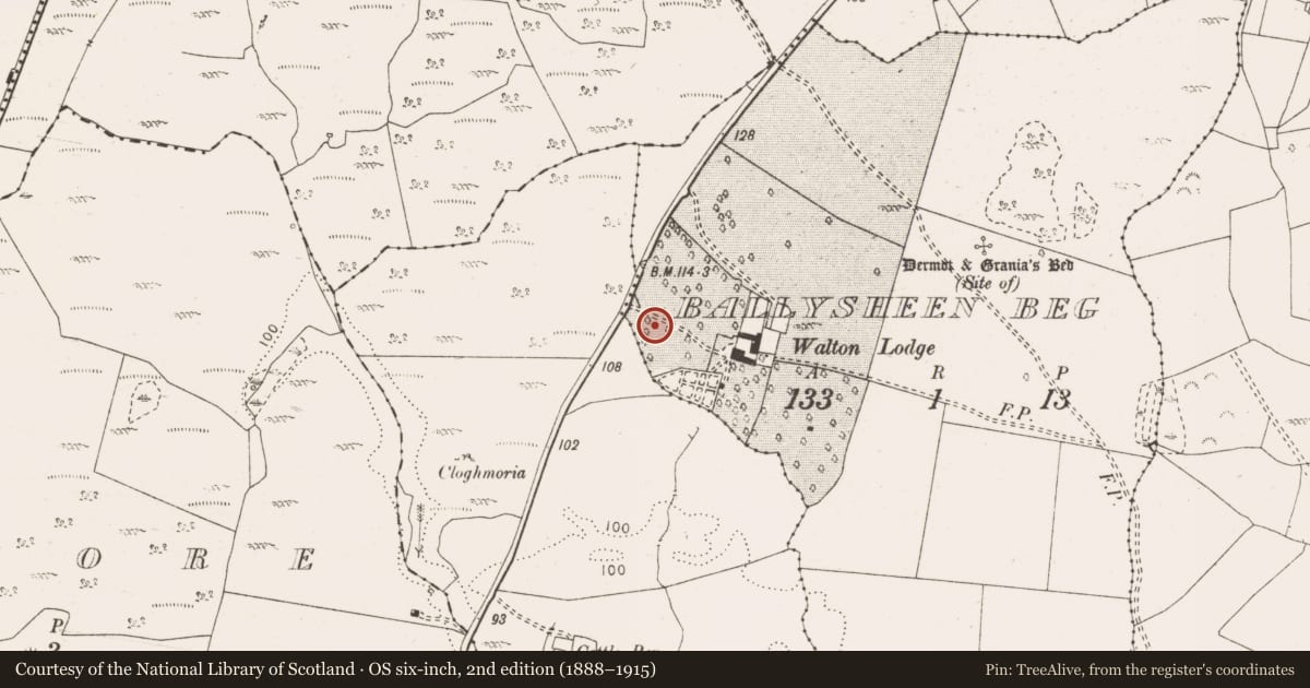 Ordnance Survey six-inch map, 2nd edition (1888–1915) covering the location of Standing stone, Ballysheen Beg, County Clare, with a pin at the register's coordinates
