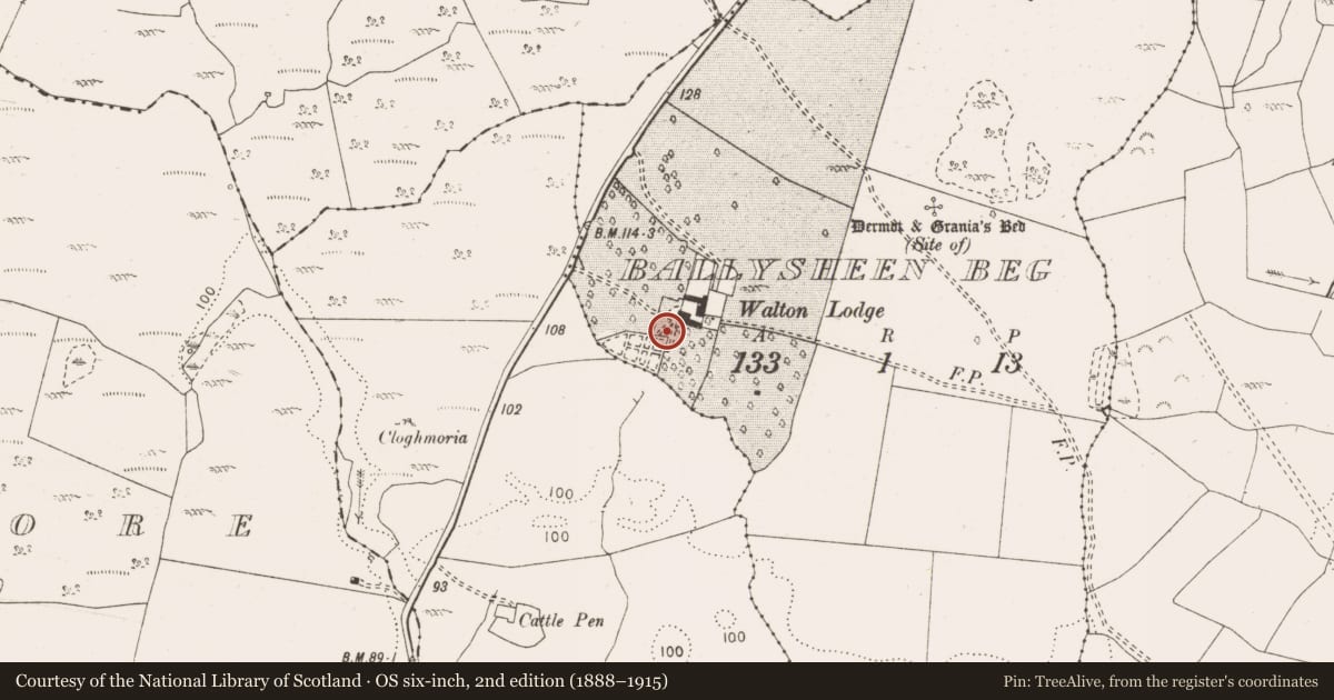Ordnance Survey six-inch map, 2nd edition (1888–1915) covering the location of Standing stone, Ballysheen Beg, County Clare, with a pin at the register's coordinates