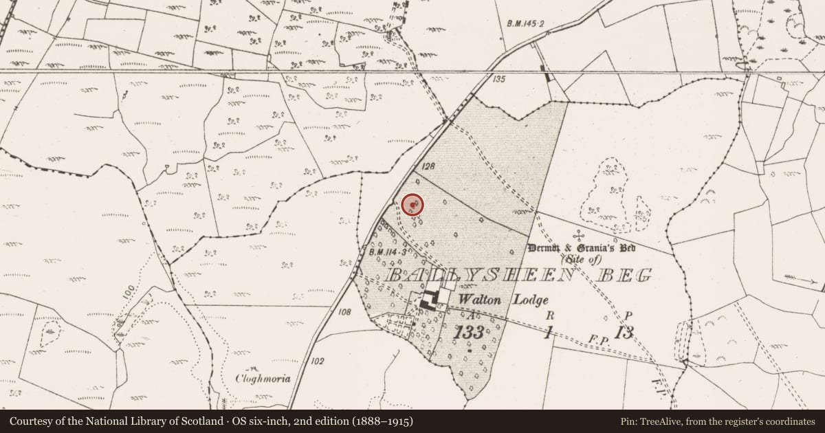 Ordnance Survey six-inch map, 2nd edition (1888–1915) covering the location of Standing stone, Ballysheen Beg, County Clare, with a pin at the register's coordinates