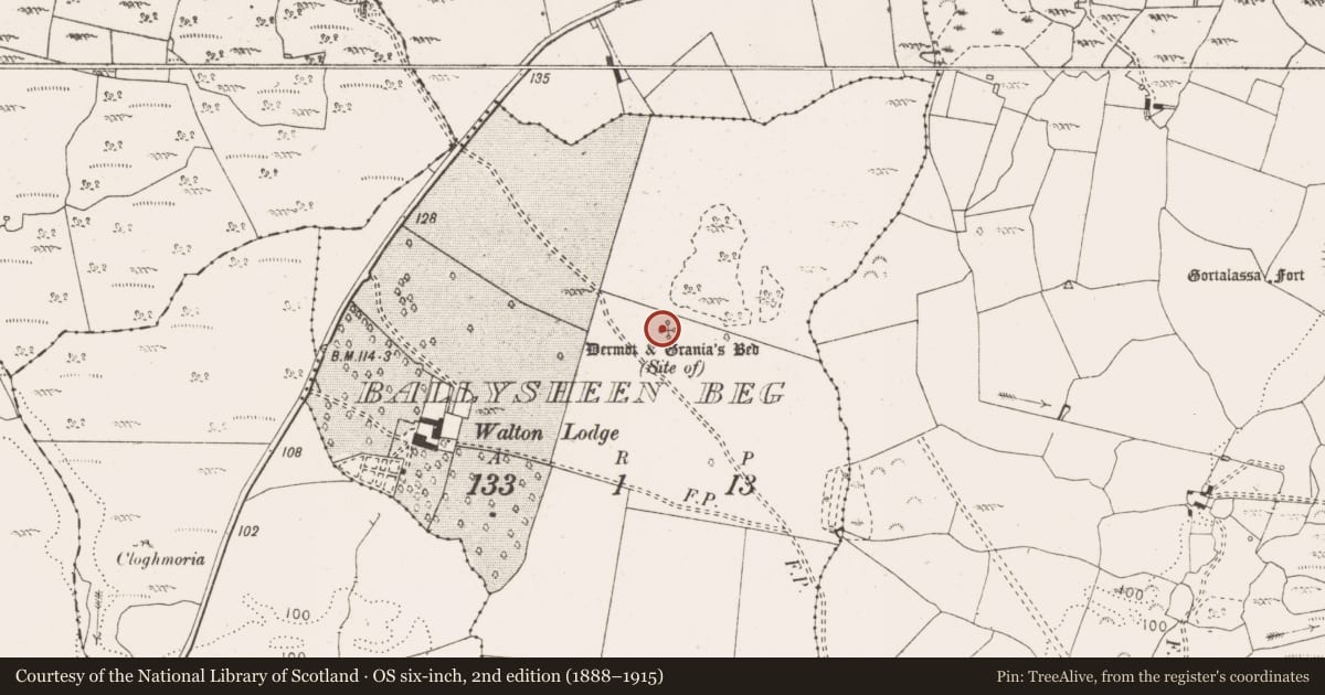 Ordnance Survey six-inch map, 2nd edition (1888–1915) covering the location of Megalithic structure, Ballysheen Beg, County Clare, with a pin at the register's coordinates
