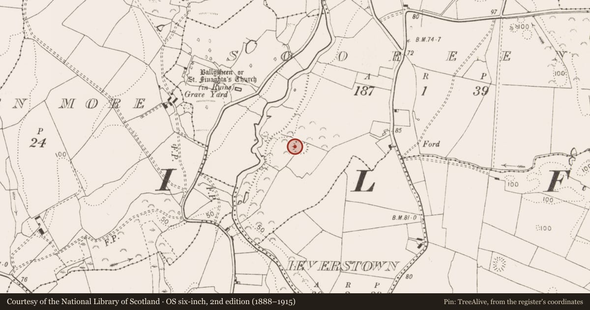 Ordnance Survey six-inch map, 2nd edition (1888–1915) covering the location of Ringfort - unclassified, Sooreeny, County Clare, with a pin at the register's coordinates