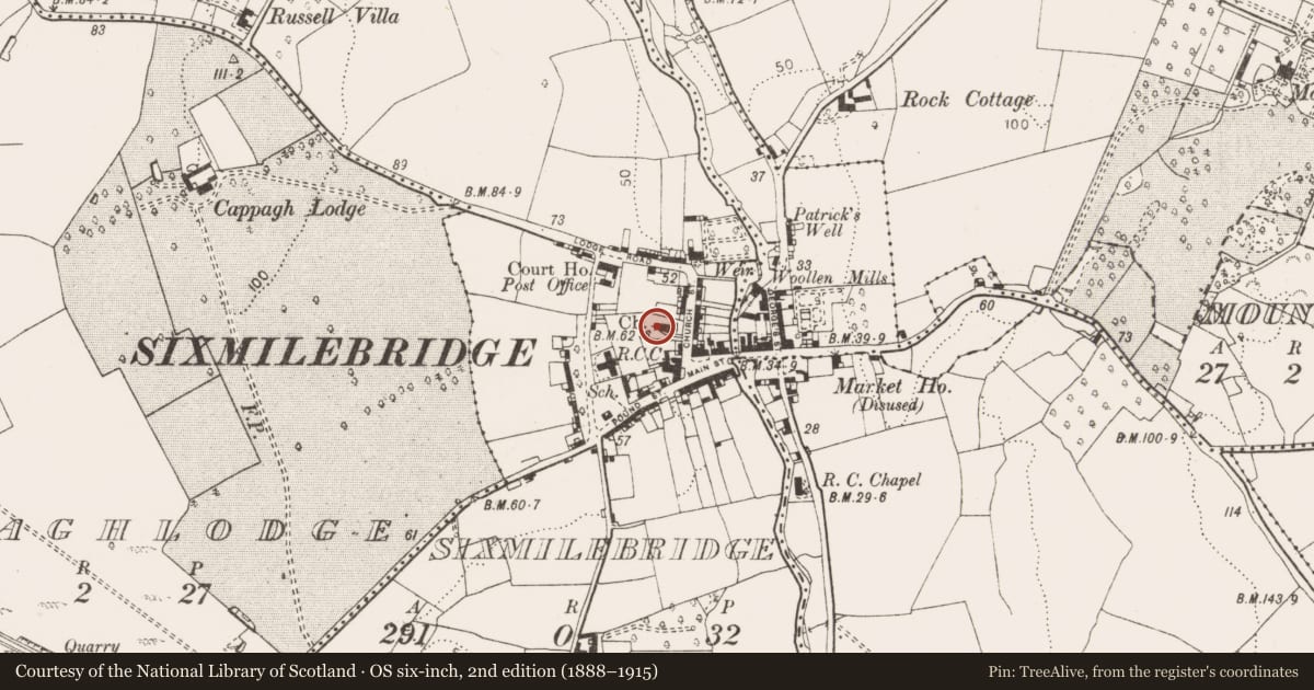 Ordnance Survey six-inch map, 2nd edition (1888–1915) covering the location of Graveslab, Six-Mile-Bridge, County Clare, with a pin at the register's coordinates