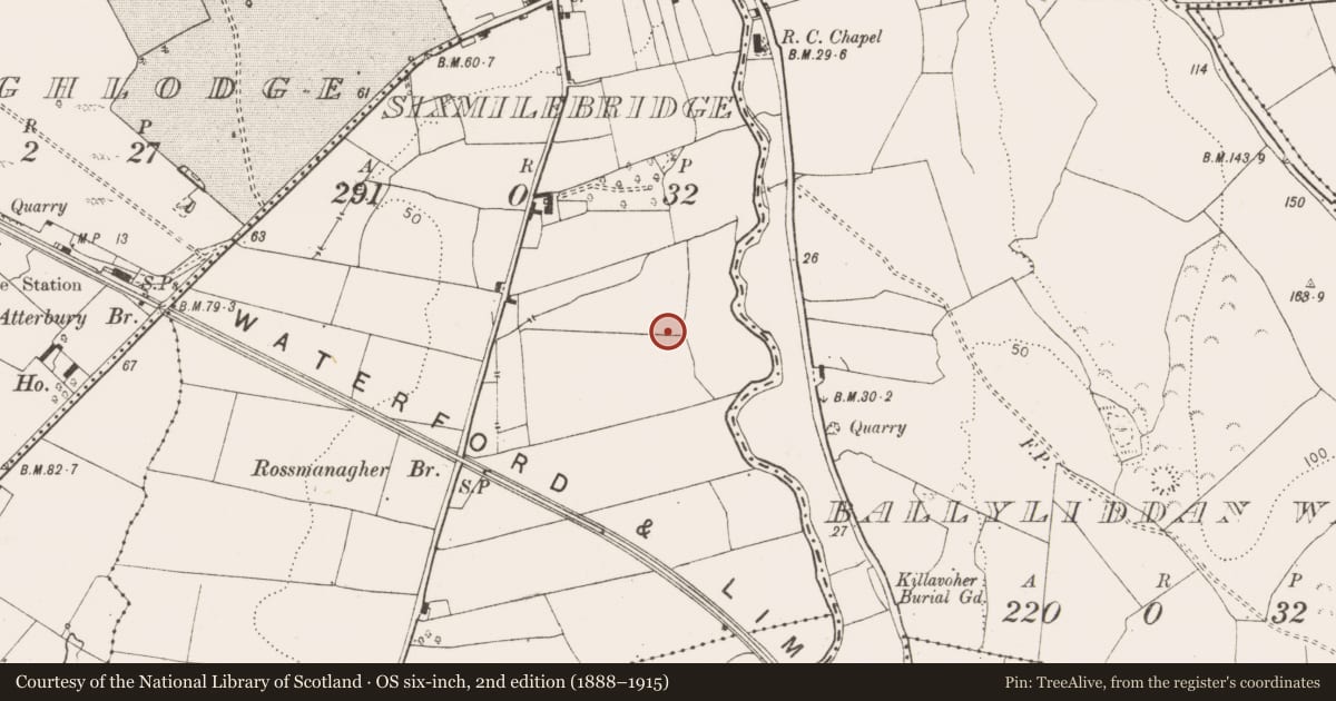 Ordnance Survey six-inch map, 2nd edition (1888–1915) covering the location of Mill - unclassified, Six-Mile-Bridge, County Clare, with a pin at the register's coordinates