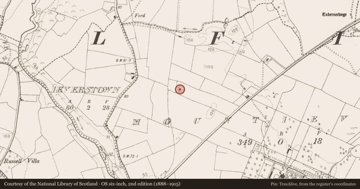 Ordnance Survey six-inch map, 2nd edition (1888–1915) covering the location of Ringfort - unclassified, Mountievers, County Clare, with a pin at the register's coordinates