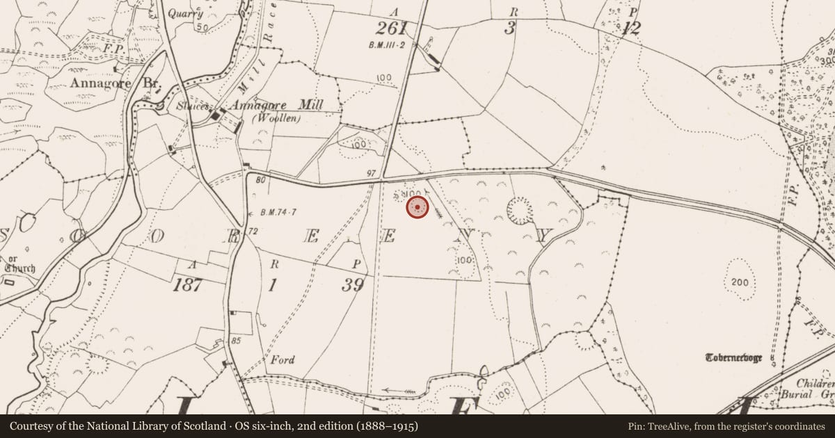 Ordnance Survey six-inch map, 2nd edition (1888–1915) covering the location of Barrow - unclassified, Sooreeny, County Clare, with a pin at the register's coordinates