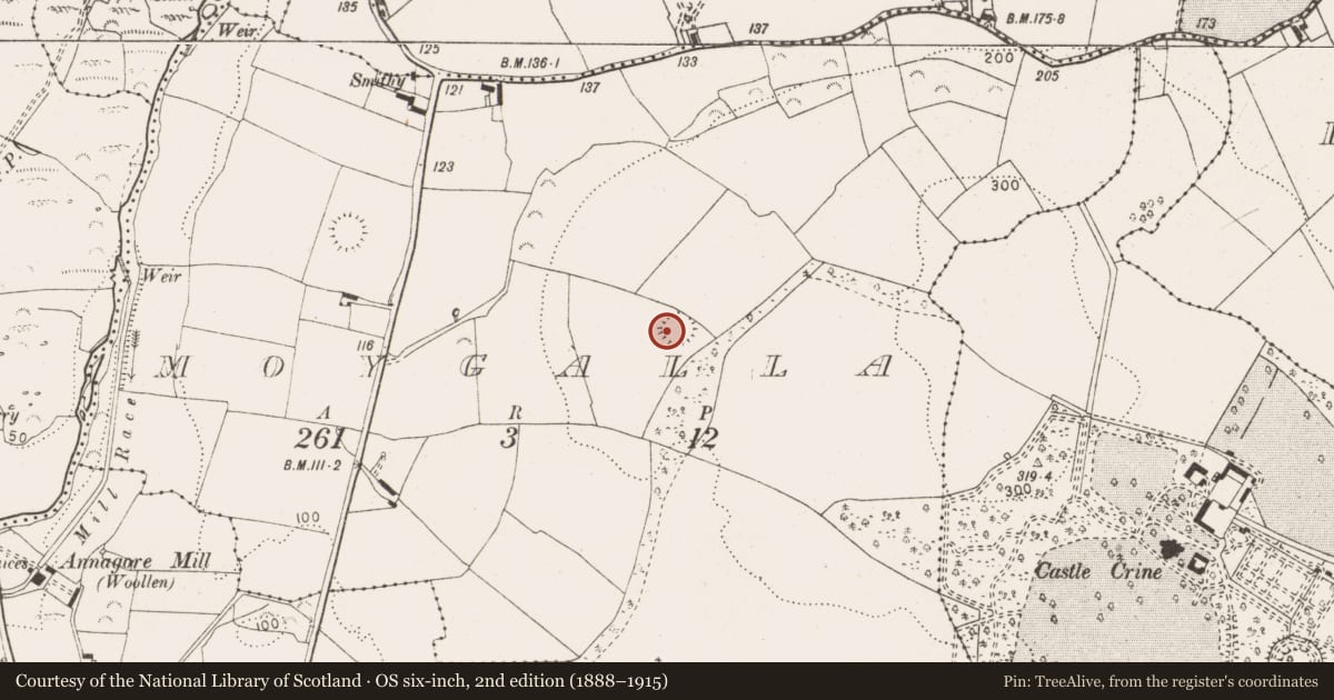 Ordnance Survey six-inch map, 2nd edition (1888–1915) covering the location of Ringfort - unclassified, Moygalla, County Clare, with a pin at the register's coordinates