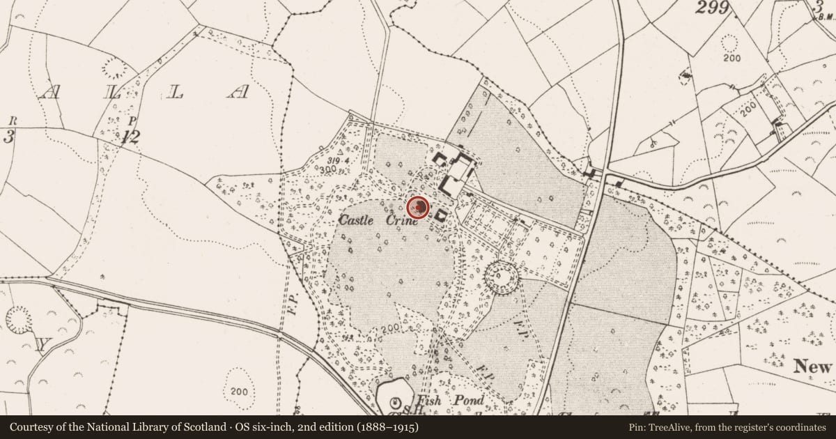 Ordnance Survey six-inch map, 2nd edition (1888–1915) covering the location of Castle - unclassified, Castlecrine, County Clare, with a pin at the register's coordinates