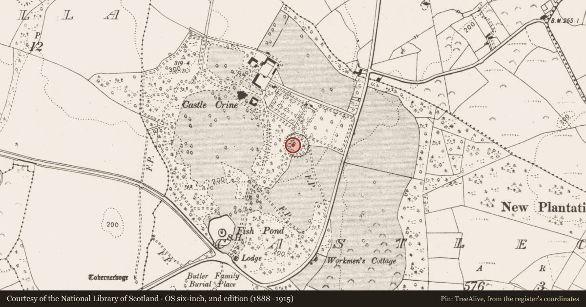 Ordnance Survey six-inch map, 2nd edition (1888–1915) covering the location of Ringfort - rath, Castlecrine, County Clare, with a pin at the register's coordinates