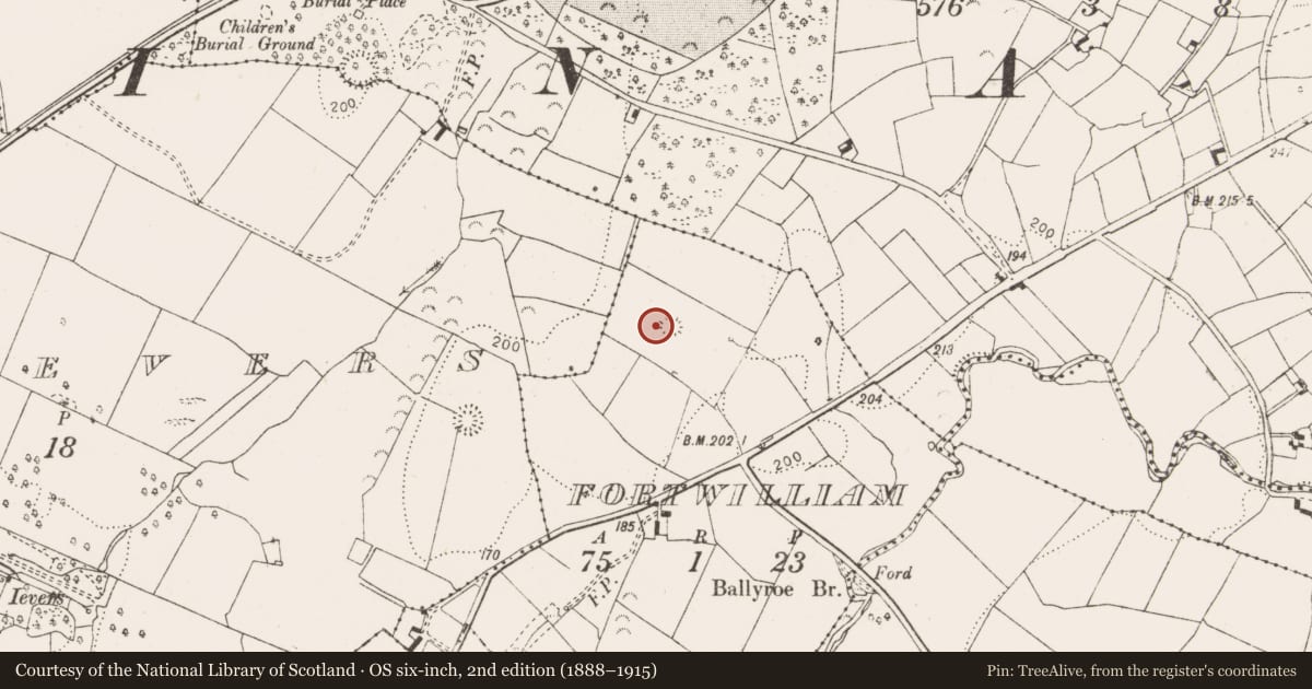 Ordnance Survey six-inch map, 2nd edition (1888–1915) covering the location of Enclosure, Fortwilliam, County Clare, with a pin at the register's coordinates