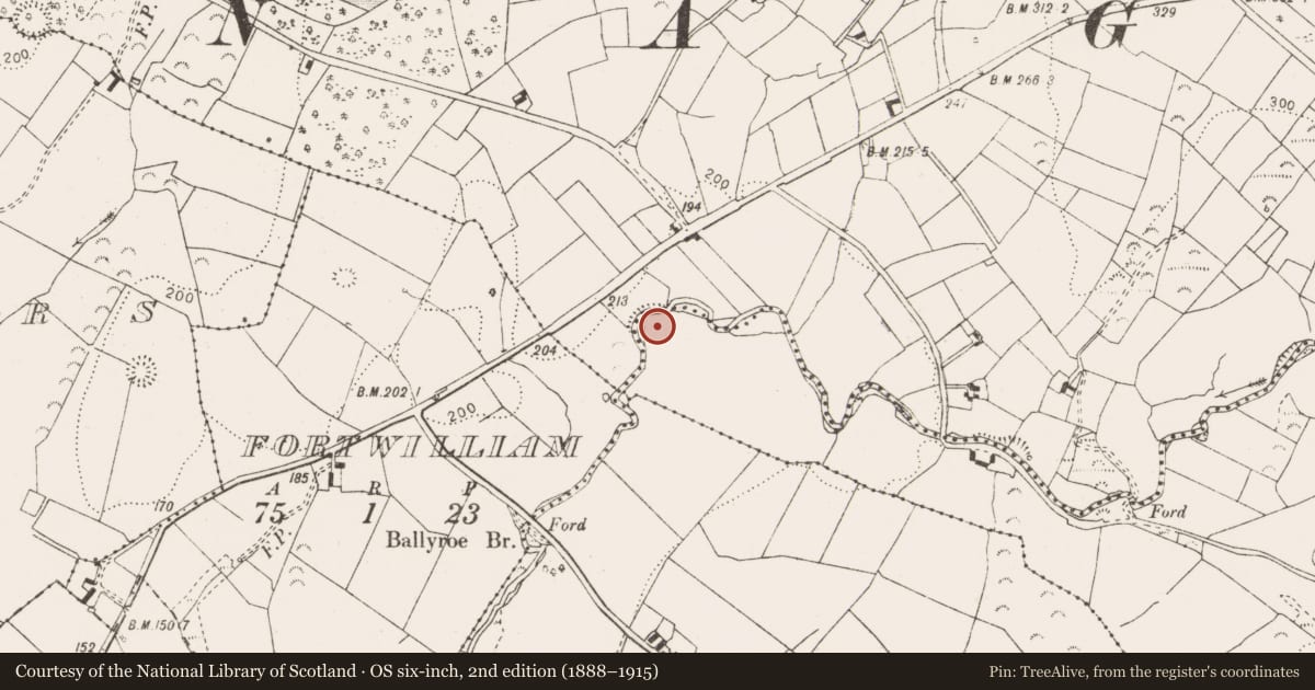 Ordnance Survey six-inch map, 2nd edition (1888–1915) covering the location of Enclosure, Corlea, County Clare, with a pin at the register's coordinates