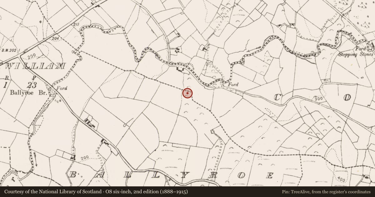 Ordnance Survey six-inch map, 2nd edition (1888–1915) covering the location of Enclosure, Ballyroe, Corlea, County Clare, with a pin at the register's coordinates