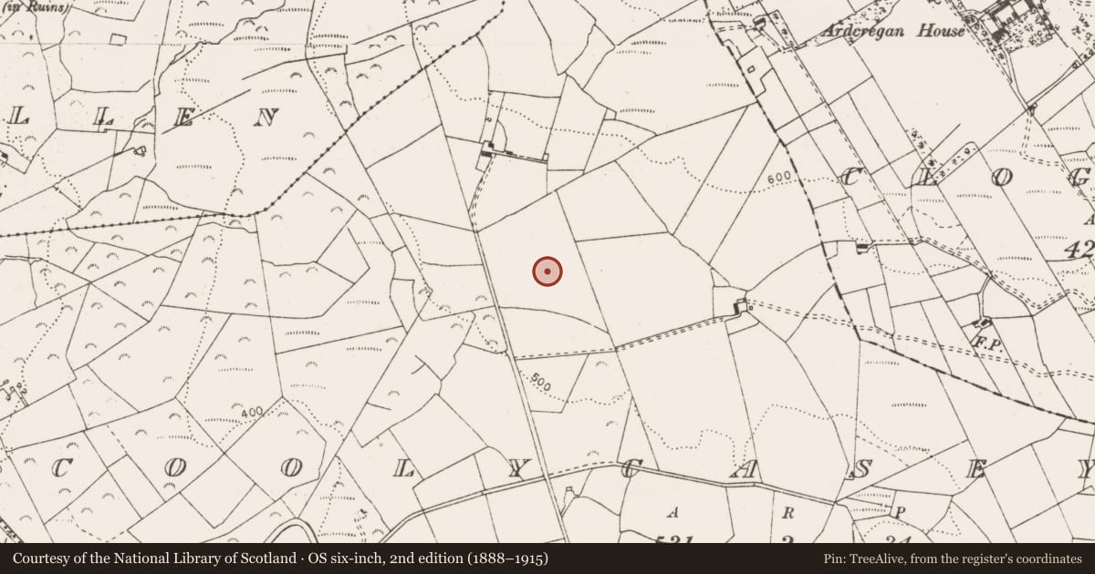 Ordnance Survey six-inch map, 2nd edition (1888–1915) covering the location of Megalithic tomb - wedge tomb, Coolycasey, County Clare, with a pin at the register's coordinates