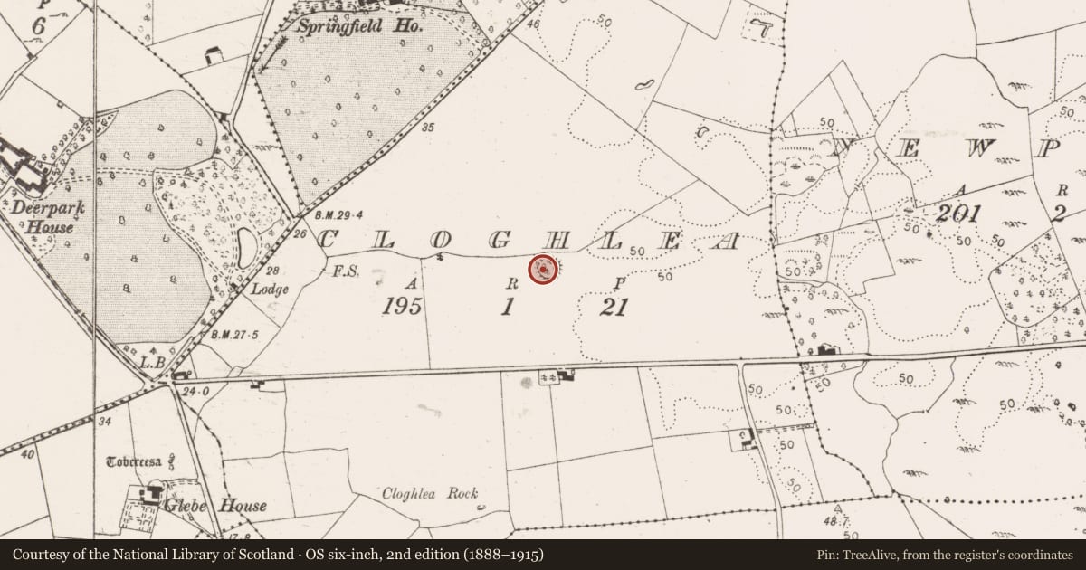 Ordnance Survey six-inch map, 2nd edition (1888–1915) covering the location of Ringfort - unclassified, Cloghlea, County Clare, with a pin at the register's coordinates