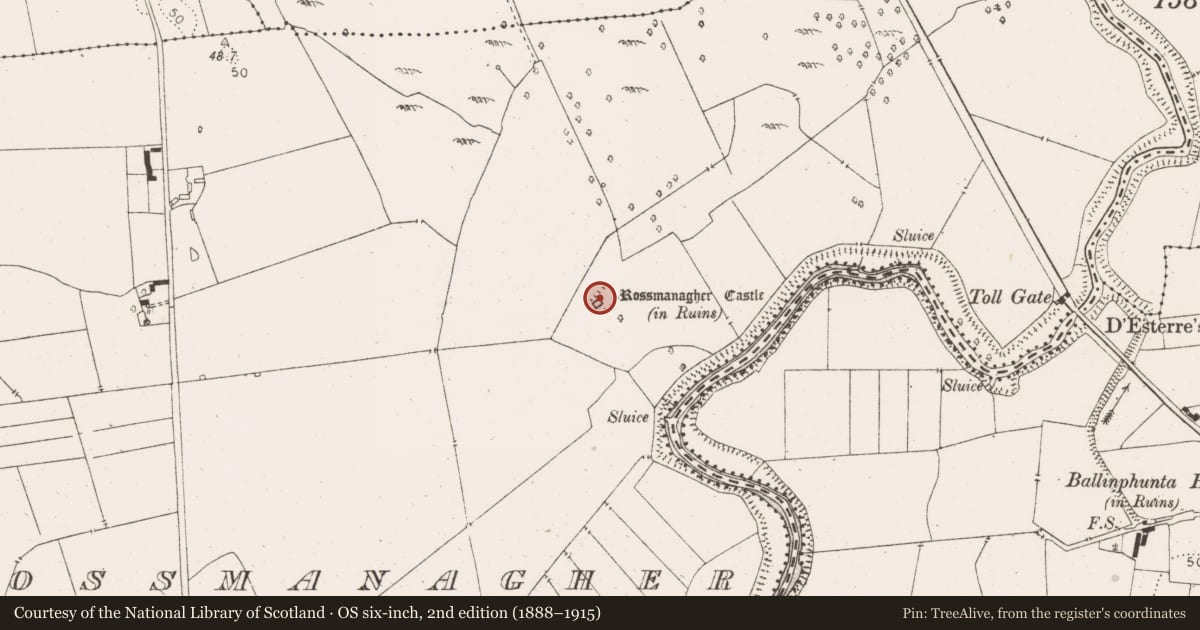 Ordnance Survey six-inch map, 2nd edition (1888–1915) covering the location of Earthwork, Rossmanagher, County Clare, with a pin at the register's coordinates