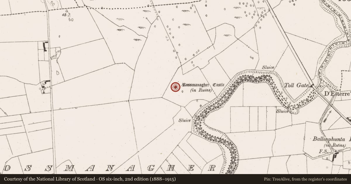 Ordnance Survey six-inch map, 2nd edition (1888–1915) covering the location of Castle - tower house, Rossmanagher, County Clare, with a pin at the register's coordinates