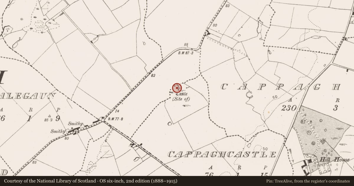 Ordnance Survey six-inch map, 2nd edition (1888–1915) covering the location of Castle - unclassified, Cappagh Castle, County Clare, with a pin at the register's coordinates