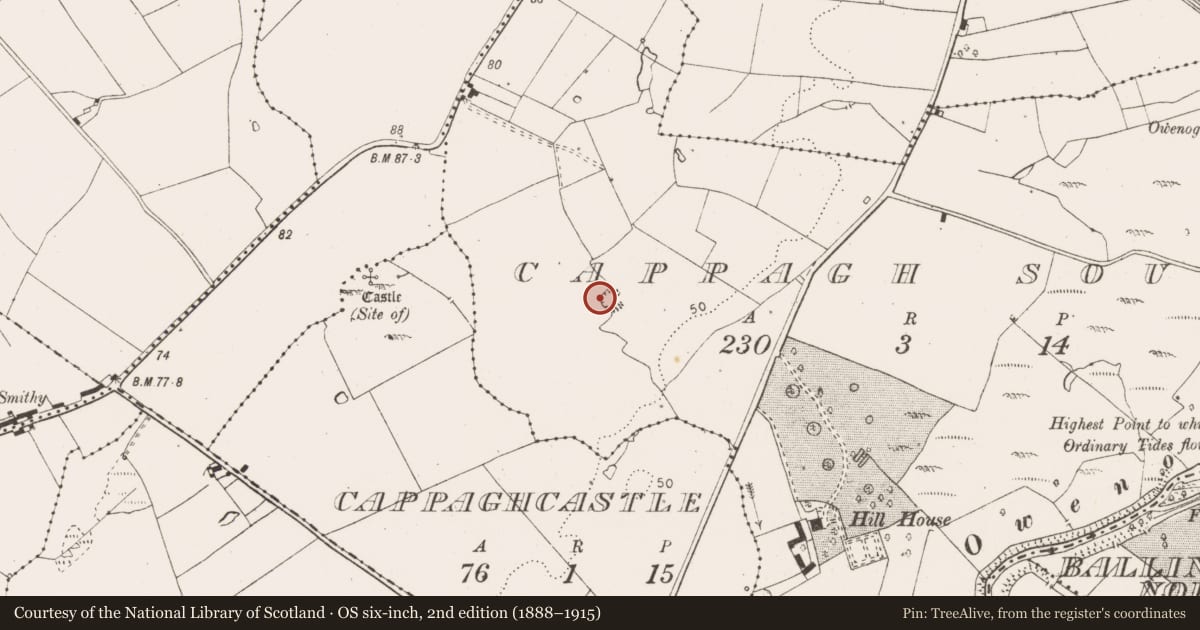 Ordnance Survey six-inch map, 2nd edition (1888–1915) covering the location of Enclosure, Cappagh South, County Clare, with a pin at the register's coordinates