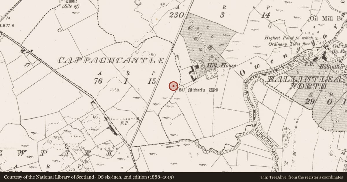 Ordnance Survey six-inch map, 2nd edition (1888–1915) covering the location of Ritual site - holy well, Cappagh Castle, County Clare, with a pin at the register's coordinates