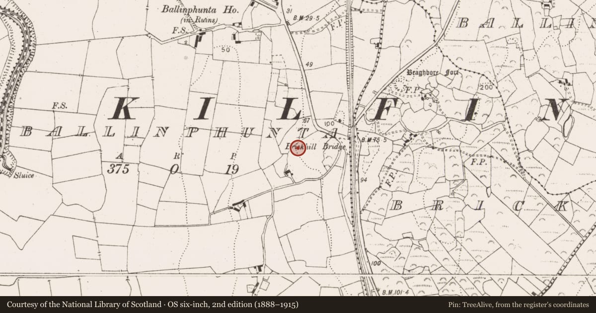 Ordnance Survey six-inch map, 2nd edition (1888–1915) covering the location of Ringfort - unclassified, Ballinphunta, County Clare, with a pin at the register's coordinates