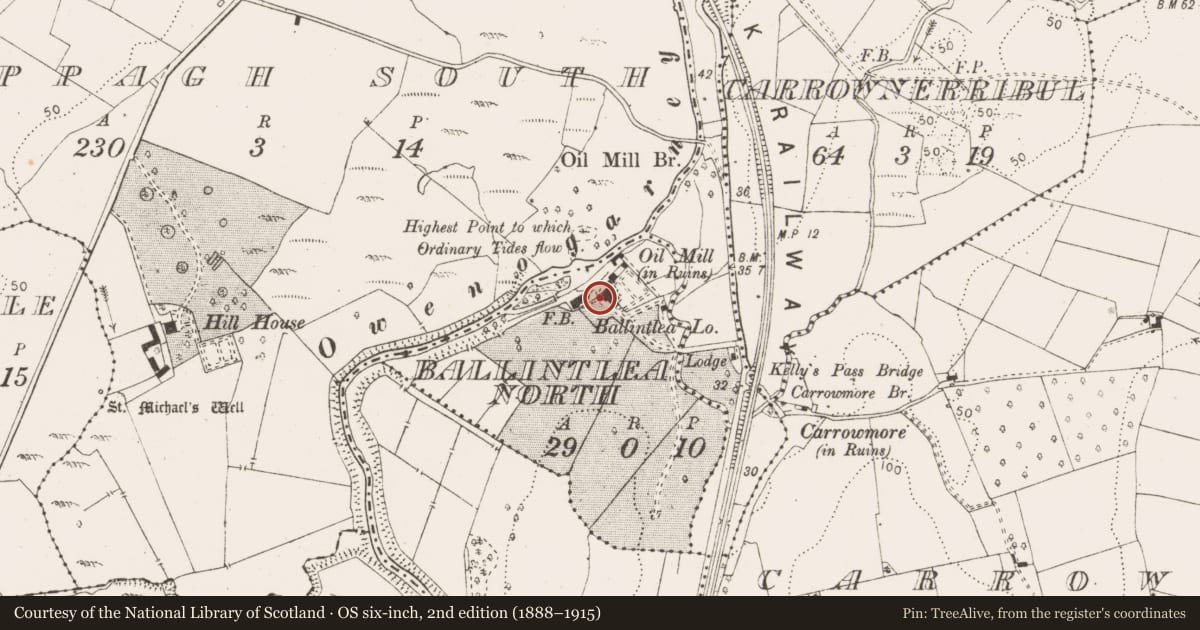 Ordnance Survey six-inch map, 2nd edition (1888–1915) covering the location of House - 16th/17th century, Ballintlea North, County Clare, with a pin at the register's coordinates