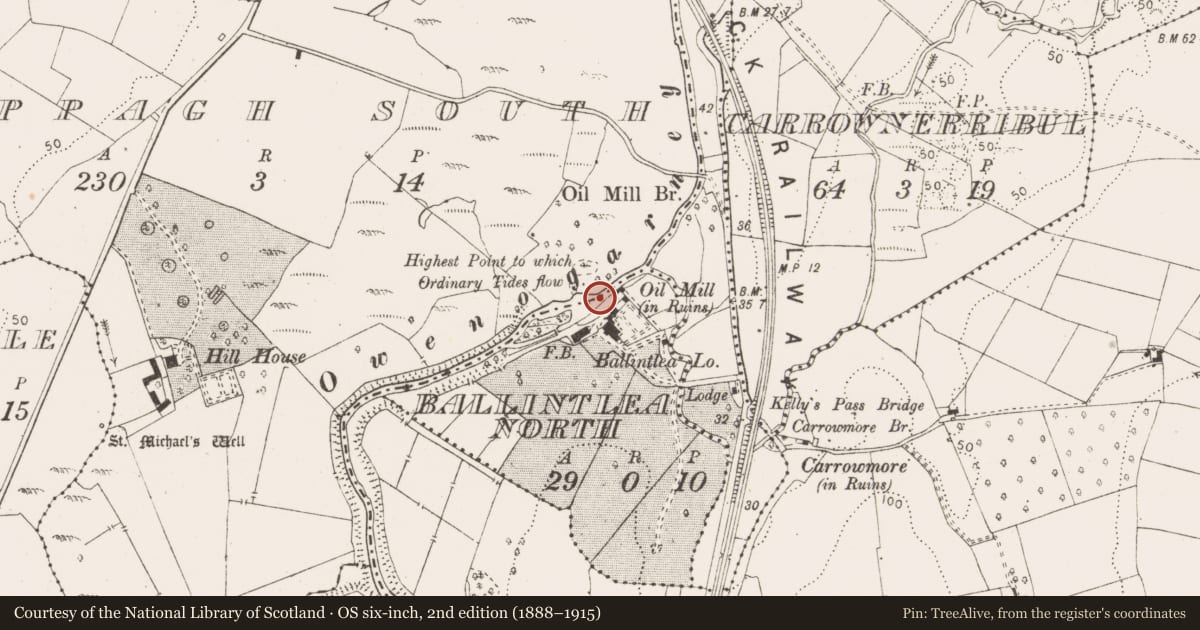 Ordnance Survey six-inch map, 2nd edition (1888–1915) covering the location of Water mill - unclassified, Ballintlea North, Cappagh South, County Clare, with a pin at the register's coordinates