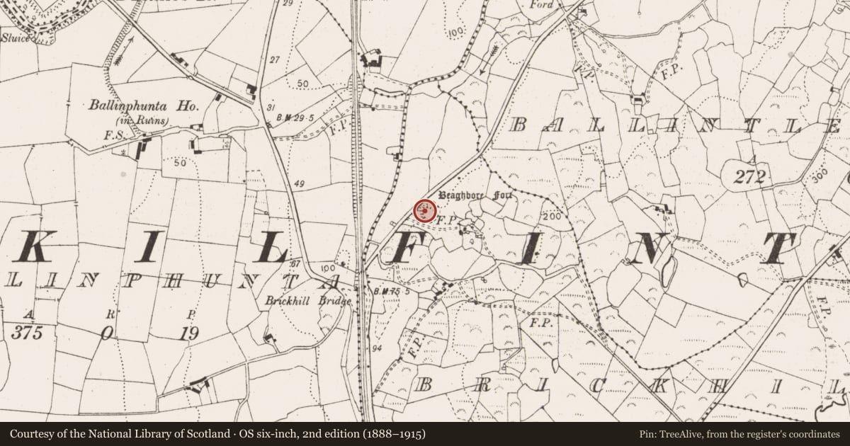 Ordnance Survey six-inch map, 2nd edition (1888–1915) covering the location of Enclosure, Brickhill East, County Clare, with a pin at the register's coordinates